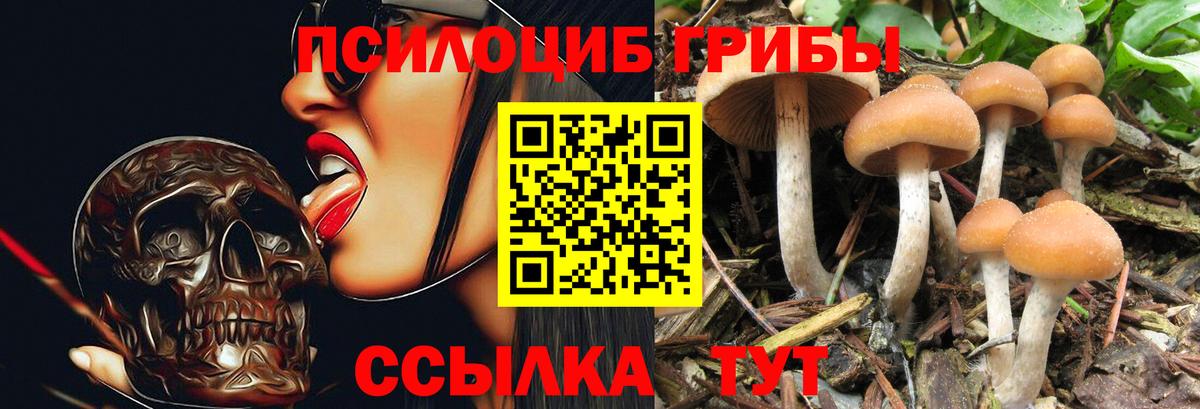 Галлюциногенные грибы Psilocybine cubensis  где можно купить наркотик  Сердобск  Вход с VPN  Псилоцибиновые грибы мицелий 